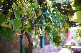 Wein in Tirisondola ©© Anders Dahl