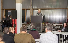 Jana Reichenbach-Behnisch, Tapetenwerk