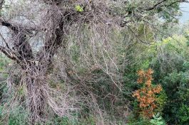 Fotokurs Kay Zimmermann