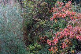 Fotokurs Kay Zimmermann