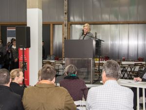 Jana Reichenbach-Behnisch, Tapetenwerk