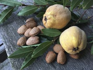 eine typisch italienische Ernte: Mandeln, Quitten und Lorbeer ©LEIIK