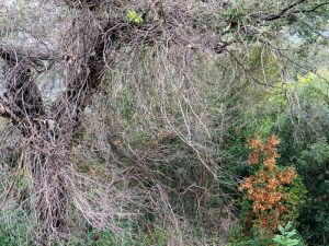 Fotokurs Kay Zimmermann