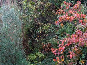 Fotokurs Kay Zimmermann